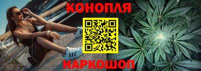 индика Моздок