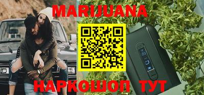 индика Моздок