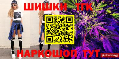 индика Моздок