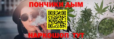 индика Моздок