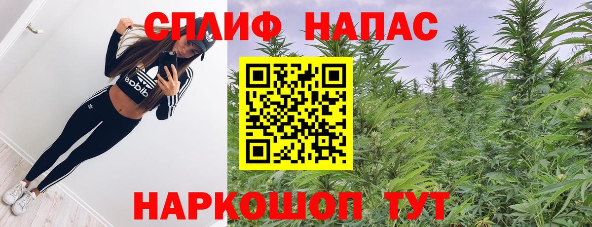 Тосно  МАРИХУАНА MAZAR  Вход с VPN  МАРИХУАНА конопля 